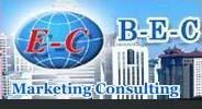 BEC Consulting